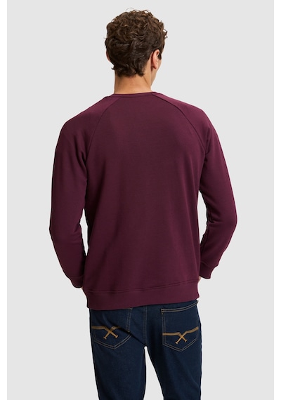 U.S. Polo Assn. Erkek Bordo Bisiklet Yaka Regular Fit Basic Sweatshirt 50329441-vr180 Dark Plum
