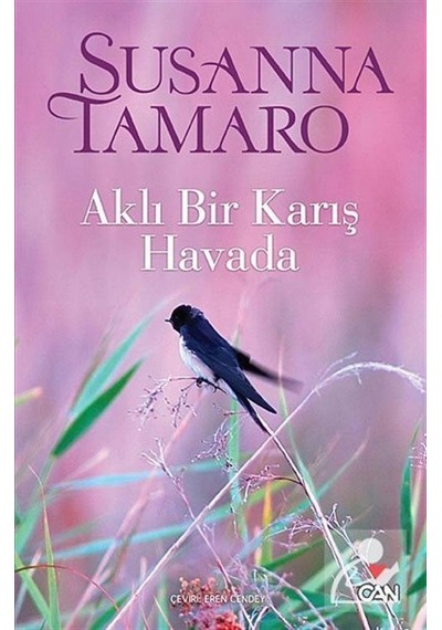 Aklı Bir Karış Havada / Susanna Tamaro