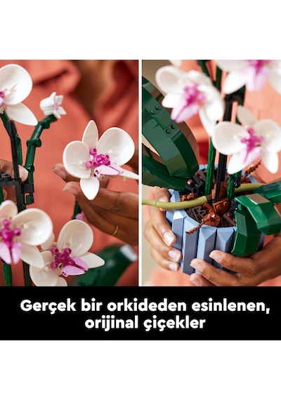 LEGO® Botanicals Orkide 10311 – Yetiskinler için 5 Yaprak ve 2 Kök Içeren Dekoratif Yapay Bitki Modeli Yapim Seti (608 Parça)