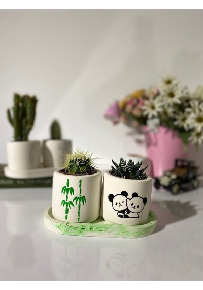 Tabaklı Bambu Panda Desenli El Çizimi Saksı Seti Hediyelik Kalemlik