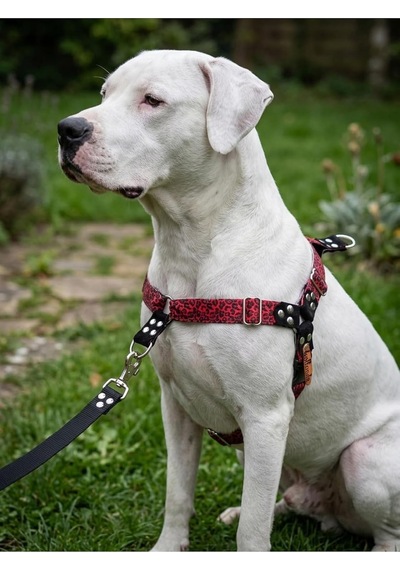 Köpek Göğüs Tasması Büyük & Çok Büyük Irk Ayarlamalı Önden Ve Sırttan Çekmeli Kordon Kırmızı & Siyah Çok Renkli