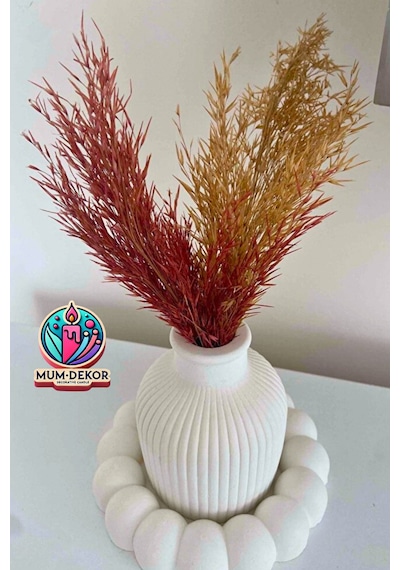 Bernami Mumluk Şamdanpinterest Bubble Tabak Ve Pampas Vazo Dekoratif Set Diğer