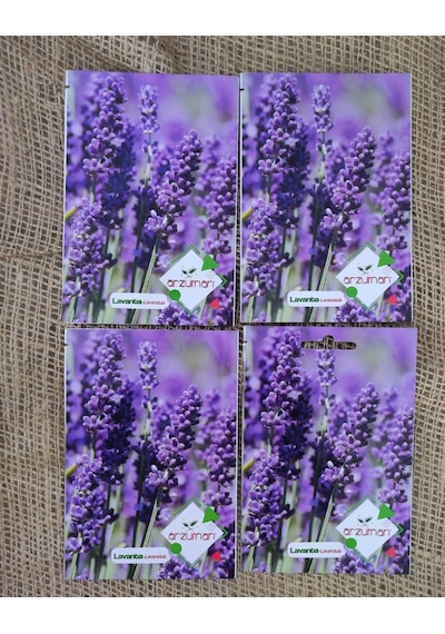 Lavanta Tohumu 4 Paket 400 Adet Lavandula Lavanta Çiçeği Tohumu