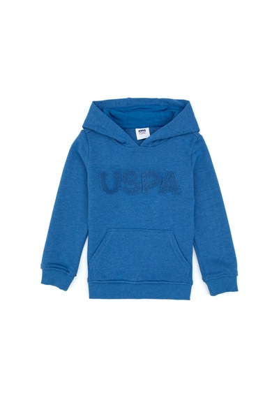 U.S. Polo Assn. Erkek Çocuk Mavi Basic Kapüşonlu Sweatshirt 50307721-VR036