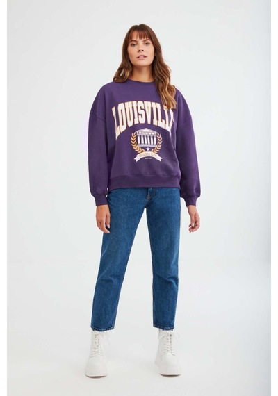 ETHIQUET RA ONA Kadın Oversize Yumuşacık İçi Polarlı Organik Pamuklu Baskılı Yuvarlak Yakalı or Sweatshirt
