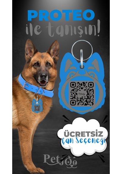 Petjoo 24.Proteo Gri-Mavi Qr'lı Köpek Künyesi