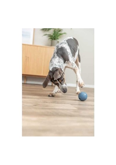 Trixie Köpek Ödüllü Top Oyuncak 11 Cm Pembe
