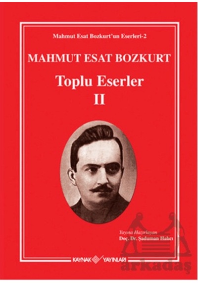 Mahmut Esat Bozkurt Toplu Eserler 2 Kaynak Yayınları