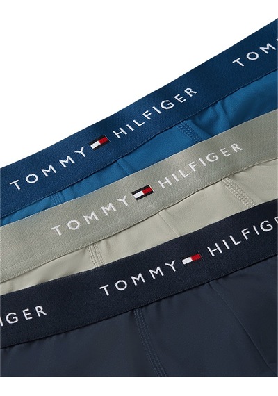 Tommy Hilfiger 3p Low Rıse Trunk Erkek Gri Boxer - Um0um03762
