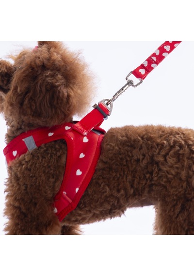 Simple Love Göğüs Tasması Ve Sevk Kayışı Tasma Seti Kalpler Desenli Kedi Köpek Göğüs Tasması Seti Kırmızı