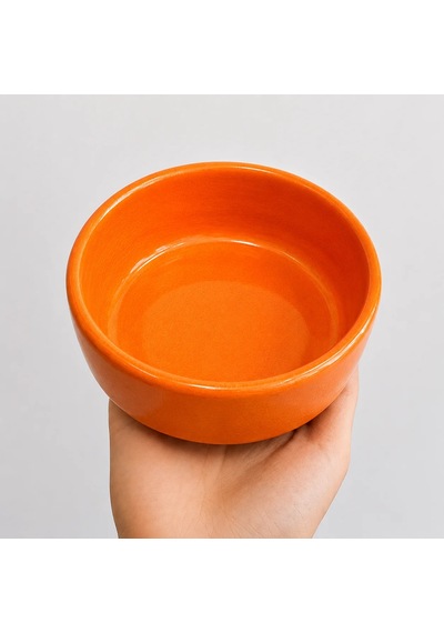 Kase Model Beton Kedi Köpek Mama Ve Su Kabı 15cm Çap 5cm - Turuncu