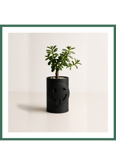 En-cag 3d Baskı Emoji Planter - Göz Kırpan Yüzlü Sukulent Saksısı-siyah Bss Standart