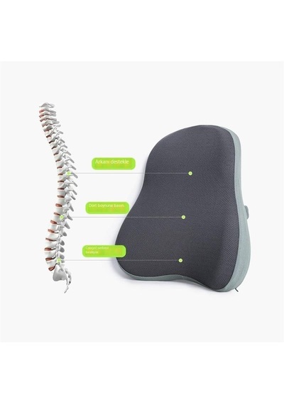 Ergonomik Hareketsiz Bel Desteği Hafızalı Köpük Bel Desteği