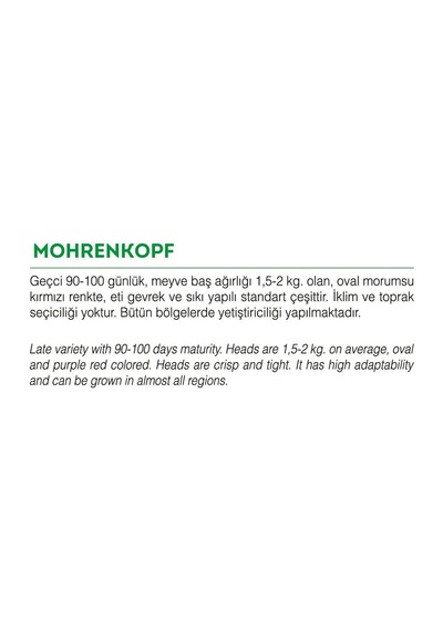 AGRodal Tarım Yerli Doğal Mor Lahana Mohrenkopf 1000 Adet Tohum