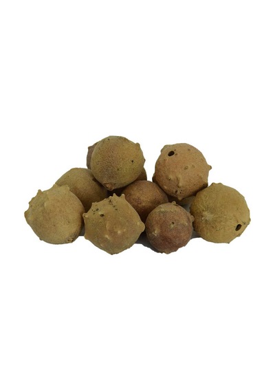Mazı Meyve Kozalağı Doğal 100 Gr Paket