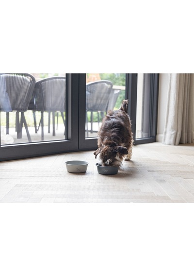 Beeztees Dbl Köpek Mama Su Kabı, Mat Gri Paslanmaz Çelik, 16cm, 940ml