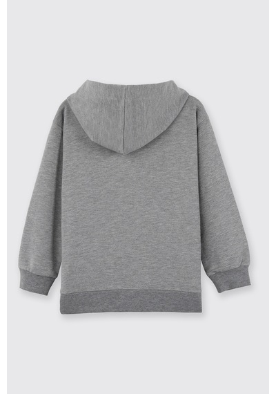 Panço Erkek Çocuk Kapüşonlu Fermuarlı Gri-melanj Sweatshirt