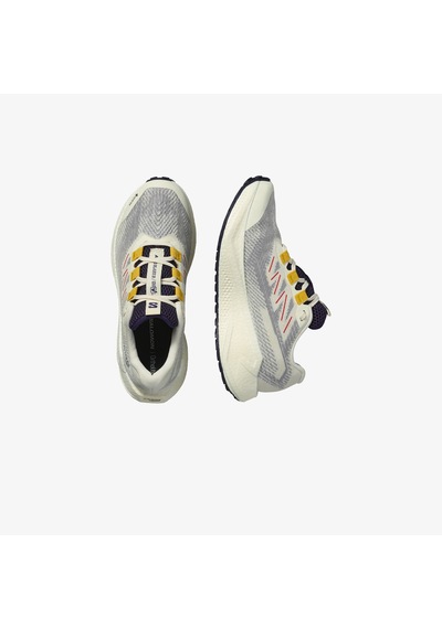 Salomon Aero Blaze 3 Grvl Kadın Krem Koşu Ayakkabısı L47974100