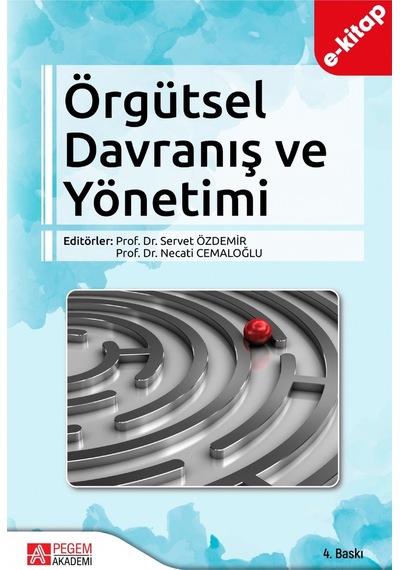 Örgütsel Davranış Ve Yönetimi E-kitap