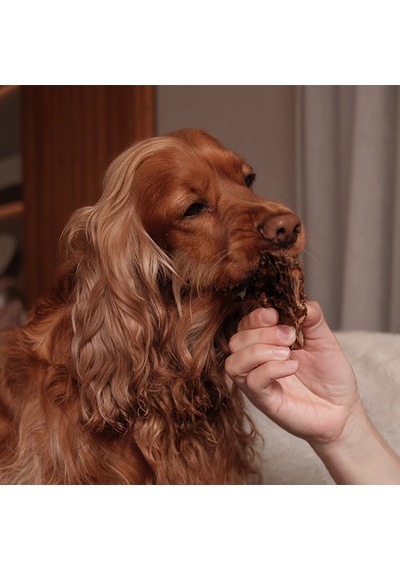 Kito Dana Akciğer Küp Atıştırmalık Doğal Glutensiz Organik Köpek Ödül Maması 100 G