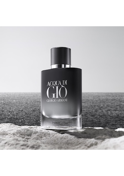 Giorgio Armani Acqua Di Gio Erkek Parfüm 100 ML