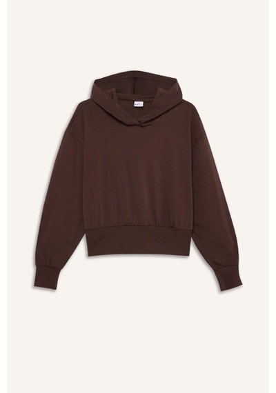 Defacto Kapüşonlu Sporcu Sweatshirt G5664ax25wnbn192 Kahve-bn192