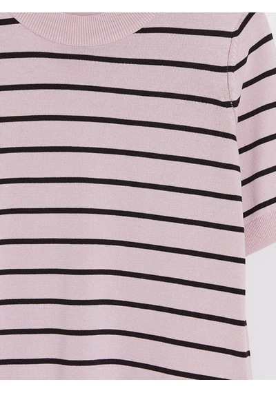 Lcw Modest Pembe Bisiklet Yaka Çizgili Kadın Triko Kazak