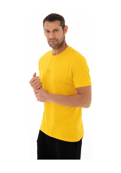 AR-MA Arma Erkek Regular Fit Bisiklet Yaka Tişört Y25344405701 Sarı