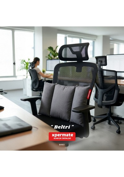 Beltri Bel Destek Yastığı Üç Bölümlü Bel Sırt Destek Minderi Yıkanabilir Ofis Araç Koltuk Yastığı Gri