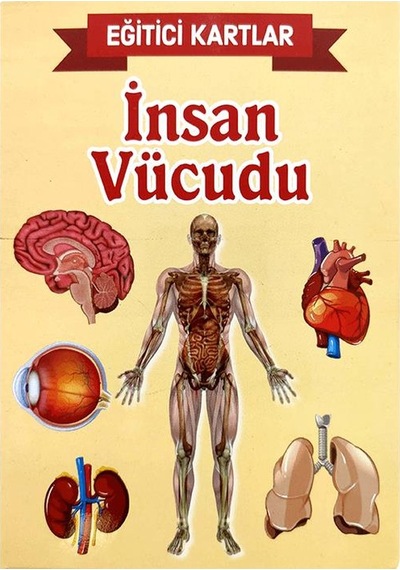 İnsan Vücudu Eğitici Kartlar - Etkinlik Kartları