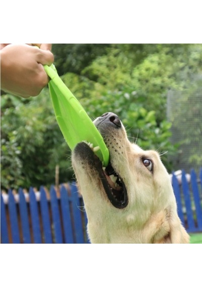2 Adet Silikon Frizbi Köpek Oyuncağı 17.5 Cm