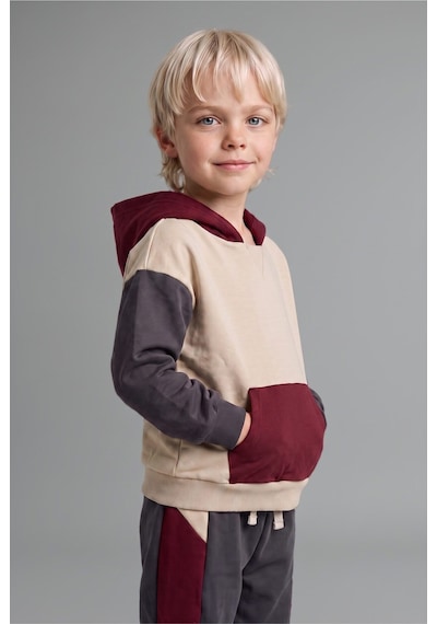Defacto %100 Pamuk Etiket Baskılı İnce Sweatshirt Kumaşı 2li Takım Erkek Bebek F9452a526wnar202 Antrasit-ar202