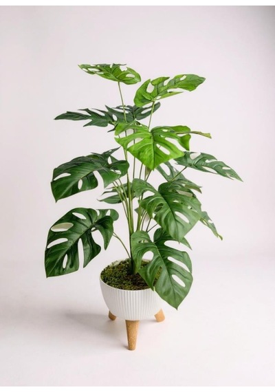 Yapay Çiçek Salon Bitkisi Monstera 70cm 18 Yaprak Beyaz Zigon Saksıda Yeşil