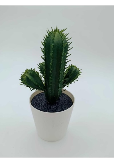 Ikea Fejka Kaktüs, 14 Cm, Mini Saksılı Yapay Kaktüs Bitki Çok Renkli