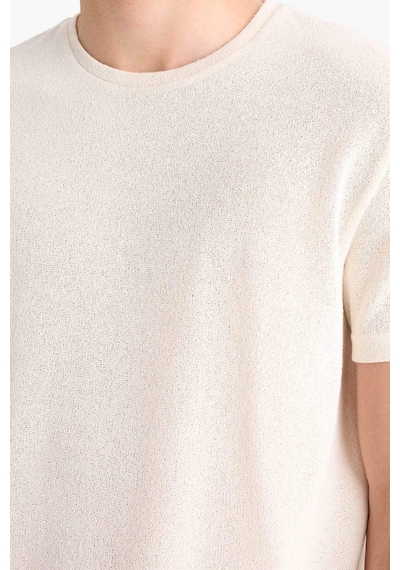 DeFacto Regular Fit Bisiklet Yaka Kısa Kollu Triko Görünümlü Tişört E3963AX25SMWT46 DeFacto Regular Fit Bisiklet Yaka Kısa Kollu Triko Görünümlü Tişört E3963AX25SMWT46
