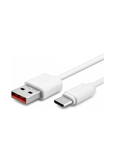 Auris 2A Type-C Set Şarj Cihazı ARS-CH29