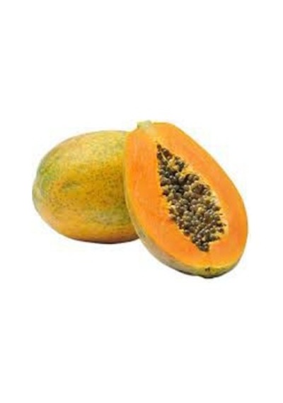 3 Adet Tohum İthal Tropikal Bodur Papaya Ağacı Tohumu + To