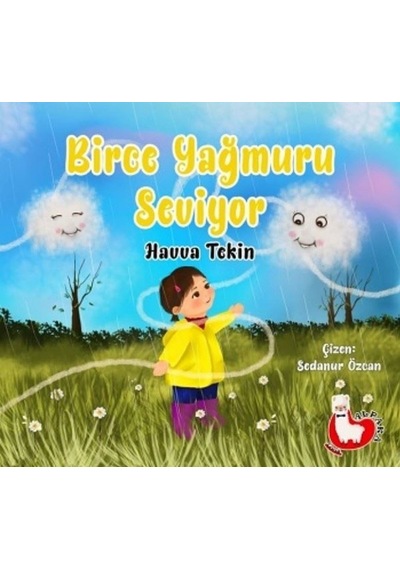 Birce Yağmuru Seviyor - Havva Tekin - Alpaka Yayınları