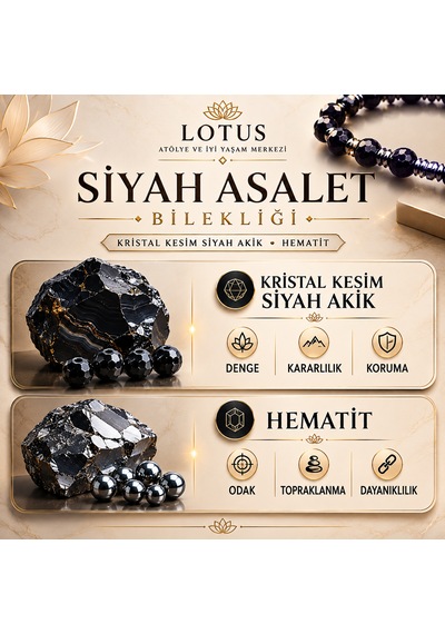 Siyah Asalet Bilekliği Kristal Kesim Siyah Akik, Hematit & Disk Hematit