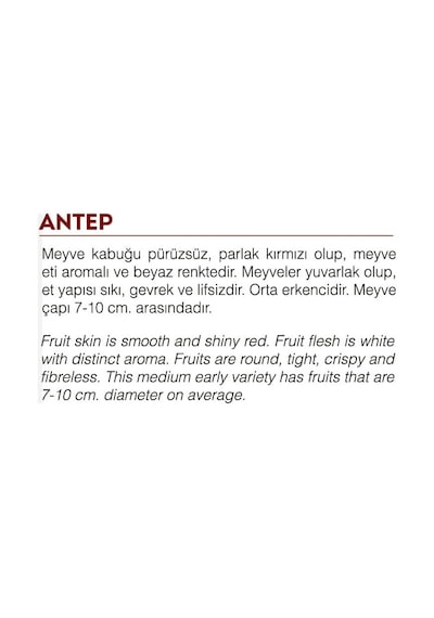 AGRodal Tarım Ata Tohumu Yöresel Doğal Kırmızı Antep Turp 500 Adet Tohum