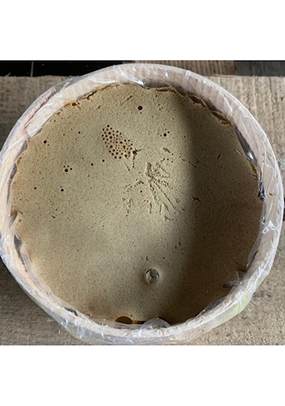Tokatlı Özseven Katı Üzüm Pekmezi 2 x 700 G