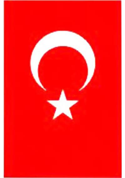 Ayyıldız Türk Bayrak 70x105 Cm Diğer