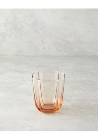 Reina Cam El Yapımı 2 Li Meşrubat Bardağı Pudra Aeropress