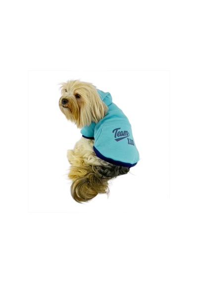 Kemique Team Sweatshirt Köpek Kıyafeti Köpek Elbisesi Kemique Team Sweatshirt Köpek Kıyafeti Köpek Elbisesi