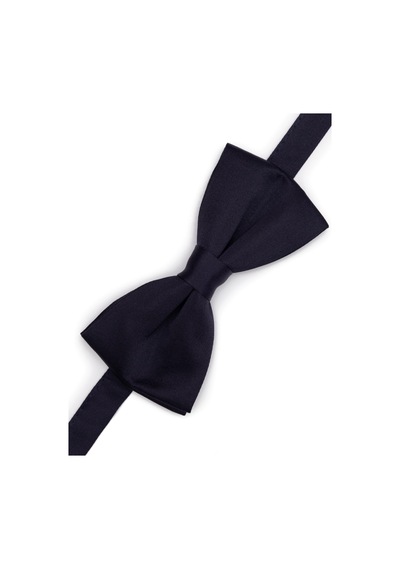 Pierre Cardin Erkek Lacivert Papyon 50262525-200 Lacivert
