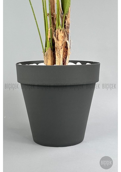 Biçiçek Yapay Areka Ağaci 220 Cm 4 Gövdeli̇ Antresi̇t Yali Saksıda