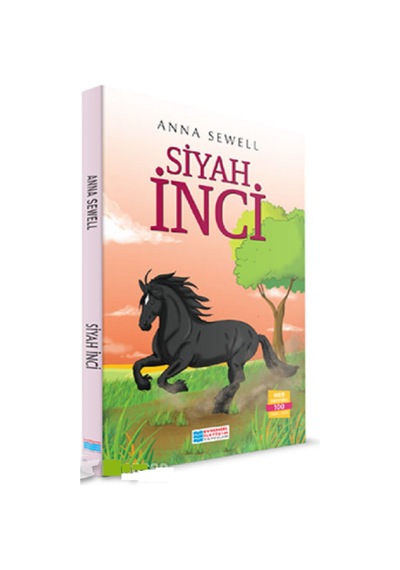 Çatıdaki Gezegen - Eve Giden Küçük Tren - Yaşasın Ç Harfi Kardeşliği - Siyah İnci 6 Kitap Set