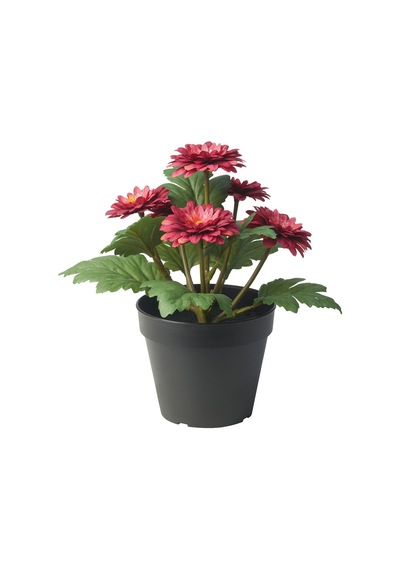 Yapay Bitki, Pembe-yeşil, 12 Cm, Krizantem 10 x 13.5 CM