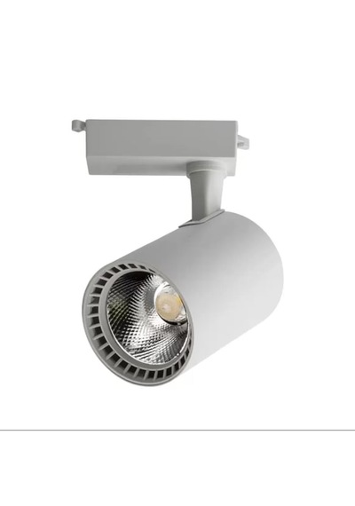 30 Watt Gün Işığı Beyaz Kasa Ray Spot
