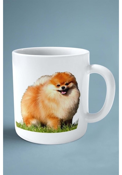 Spitz Köpek Isimli Kişiye Özel Baskılı Kupa Bardak Yeşil Çim Çok Renkli